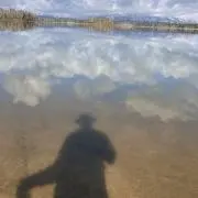 K.Y