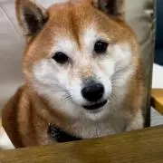 まりあ