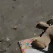 ♡の画像