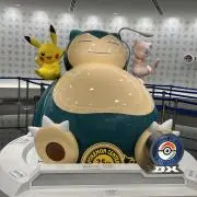 ちゃんの画像