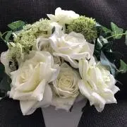 ぴこたんの画像