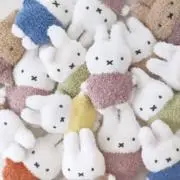 kirakiraの画像