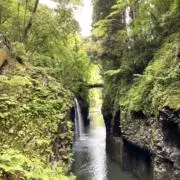 なーちゃん【毎日値下中】の画像