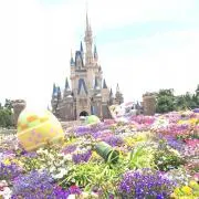 asaの画像