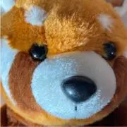 ひよこちゃんの画像