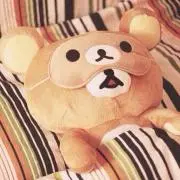 hnhnの画像