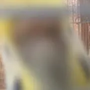 かもめ