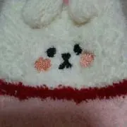 ペコの画像