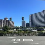 にっこの画像