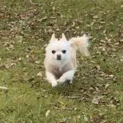 coco___.の画像