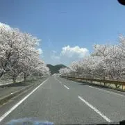 くりの画像