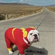 パール