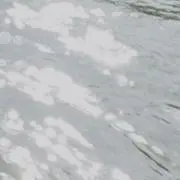 yの画像