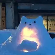 nekonekoの画像