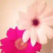 りーちゃん