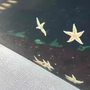 断捨離中★の画像
