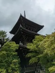 ぽんぽんの画像