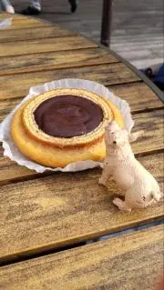 かさぽんの画像