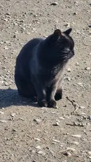 ジャカリン