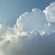 ふーこの画像