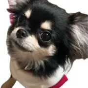 みゆきち 単品お値下げ不可^^;の画像