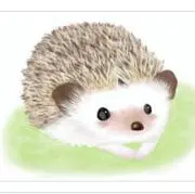 Okの画像