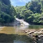 shiiの画像