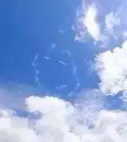 shimanekoの画像