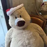 yuniの画像
