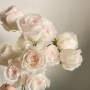 Yuuuの画像