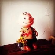 merickleの画像