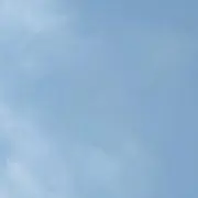 すの画像