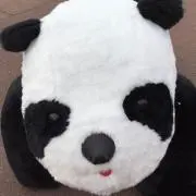 takkoの画像