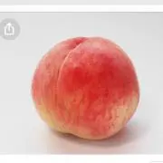 ぷりんの画像