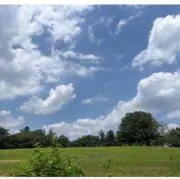 ichigoの画像