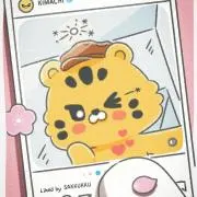 CWN81の画像