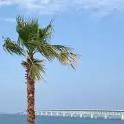 Joie-sjの画像