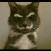 つくしの画像