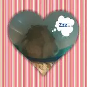 かおち.•*¨*•.¸¸♬