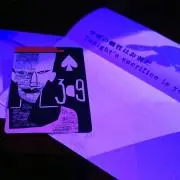 白井の画像