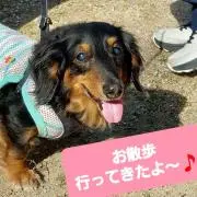 レオナルドの画像