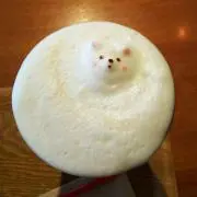 みかん『プロフ必読(’-’*)♪』の画像