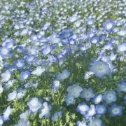 まる子の画像