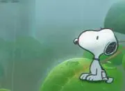 すーちゃんの画像