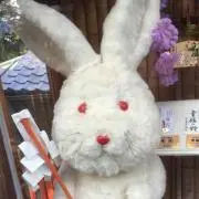 こぶた