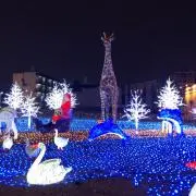 ⭐︎かりん⭐︎断捨離中の画像