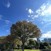 libriの画像