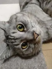 けんたの画像