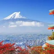桜の画像
