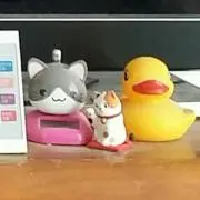 ここらっこ※プロフ必読ありの画像